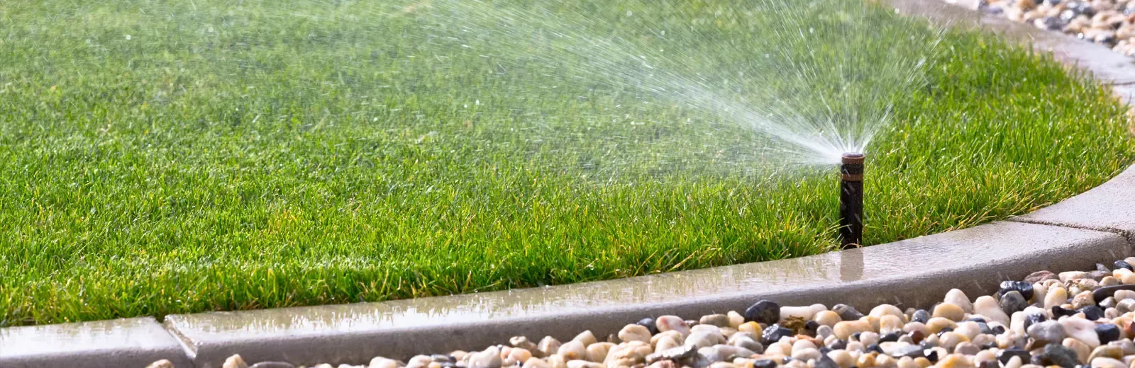 Sprinkler watering lawn