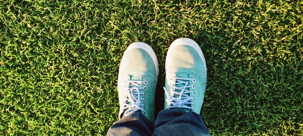 Someone Standing in the Yard on Green Grass