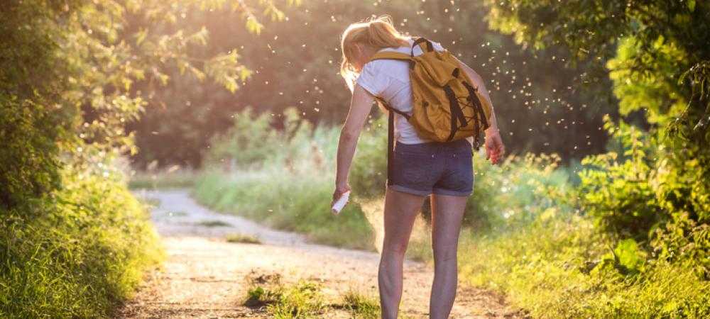 Someone Standing on a Path Spraying against Mosquitoes